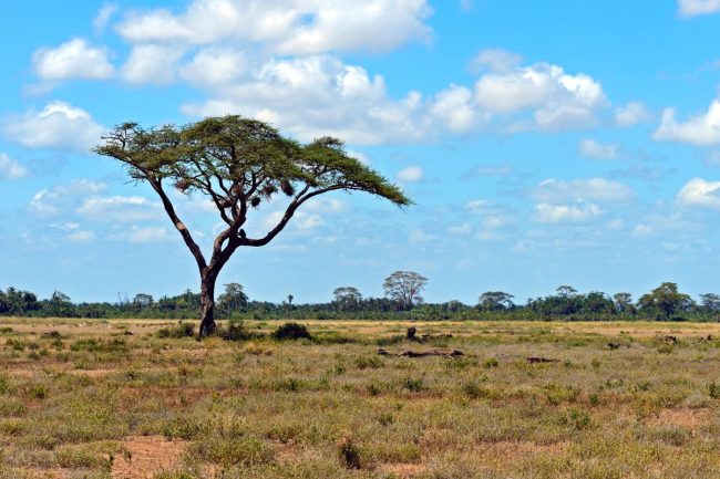15 Best Places to Visit in Kenya | Wandering Zone