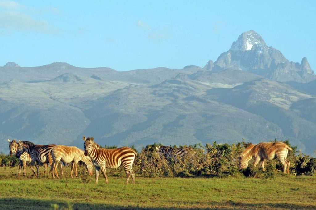 top tourist destinations in kenya