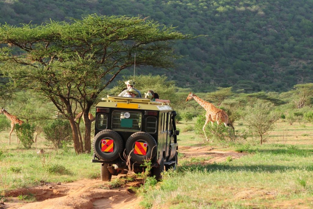 best Kenya safari tours