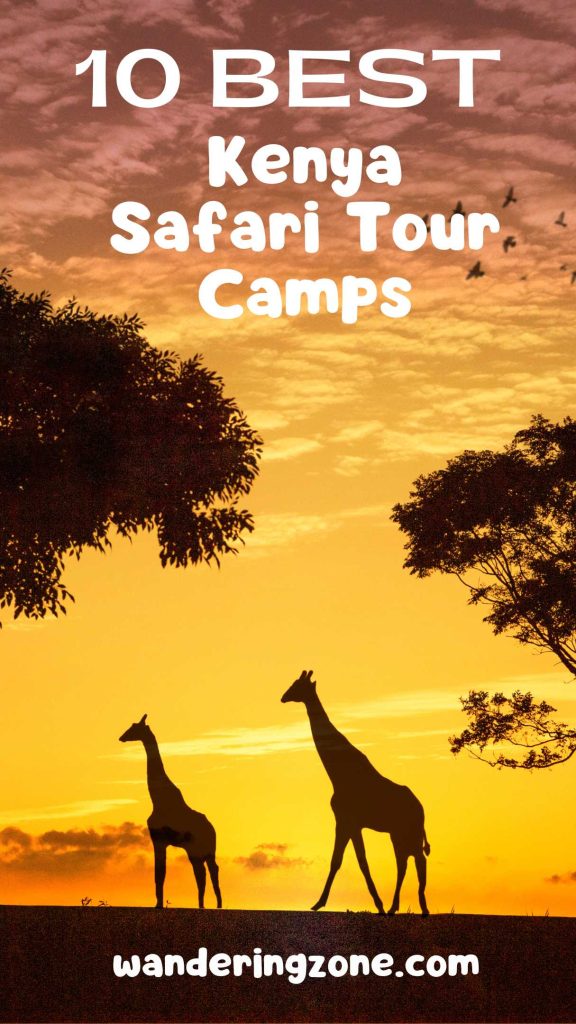 best Kenya safari tour