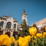best things to do in targu mures
